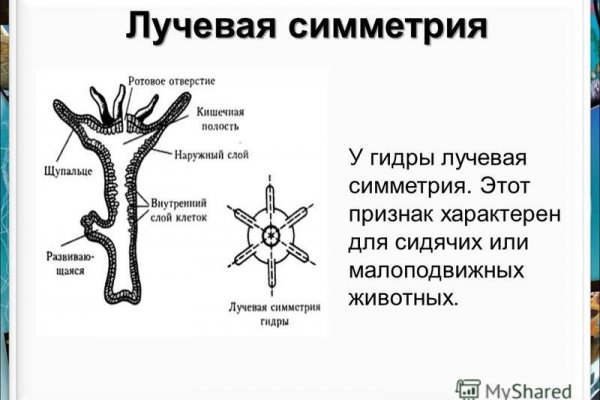 На сайте кракен пропал пользователь